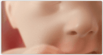 Pregnancy development illustration for week 27