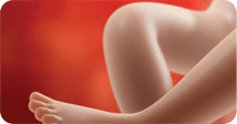 Pregnancy development illustration for week 36