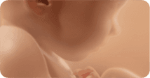 Pregnancy development illustration for week 40